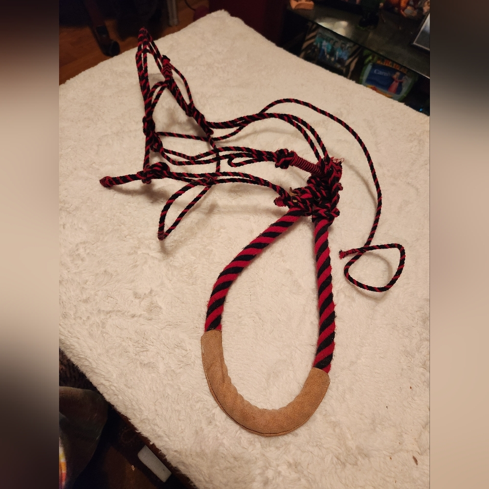 Horse headstall with bosal noseband